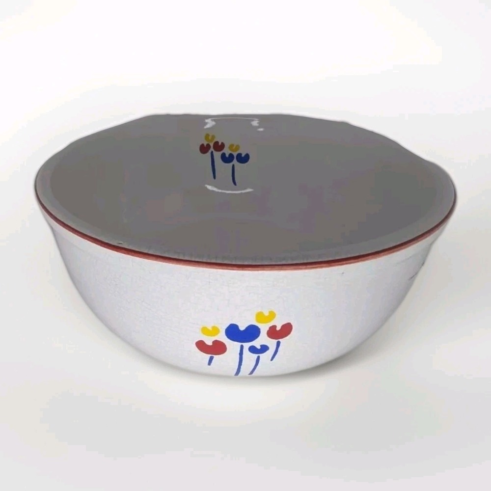 Riva Designs "Tulips"  Blue Box Salt & Pepper, And Matching Bowl Red Vintage Set